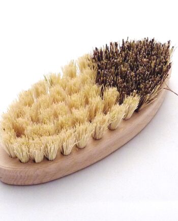 Brosse à Légumes fibres végétales