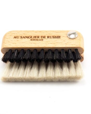 Brosse à Ordinateur Portable