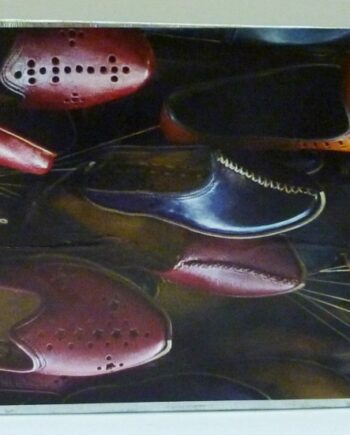Boite entretien de chaussures