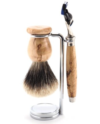 Ensemble Fusion Bouleau GB